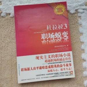 杜拉拉3：我在这战斗的一年里