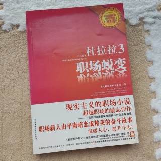 杜拉拉3：我在这战斗的一年里