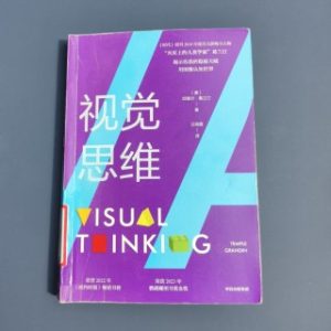 视觉思维
