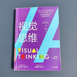 视觉思维