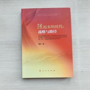 强起来的时代：战略与路径
