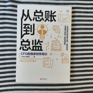 从总账到总监:CFO的独家财务笔记 从总账到总监:CFO的独家财务笔记