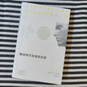 献给阿尔吉侬的花束