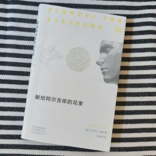 献给阿尔吉侬的花束