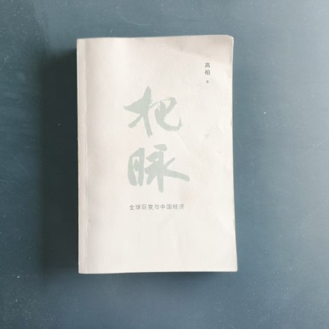 把脉:全球巨变与中国经济 把脉:全球巨变与中国经济