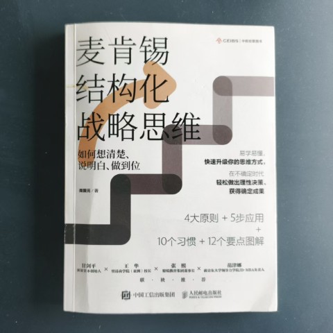 麦肯锡结构化战略思维 麦肯锡结构化战略思维