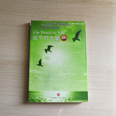 当下的力量 当下的力量