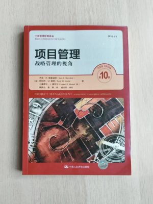 项目管理：战略管理的视角（第10版）