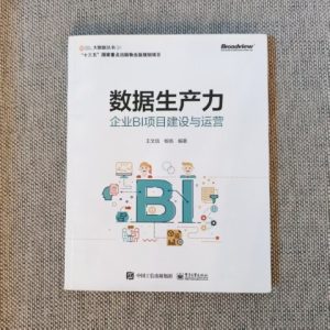 数据生产力：企业BI项目建设与运营