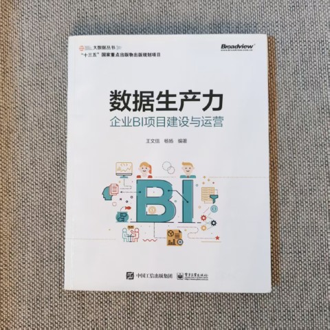 数据生产力：企业BI项目建设与运营
