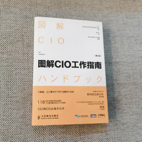 图解CIO工作指南（第4版）