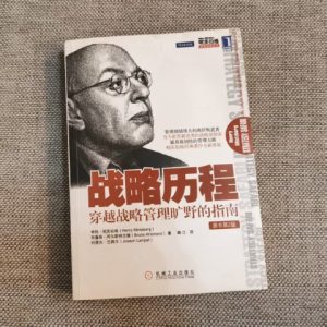 战略历程：穿越战略管理旷野的指南（原书第2版）