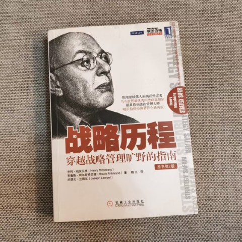 战略历程：穿越战略管理旷野的指南（原书第2版）