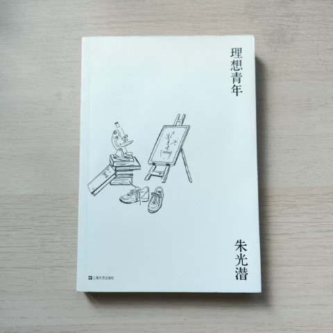 理想青年