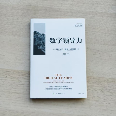 数字领导力