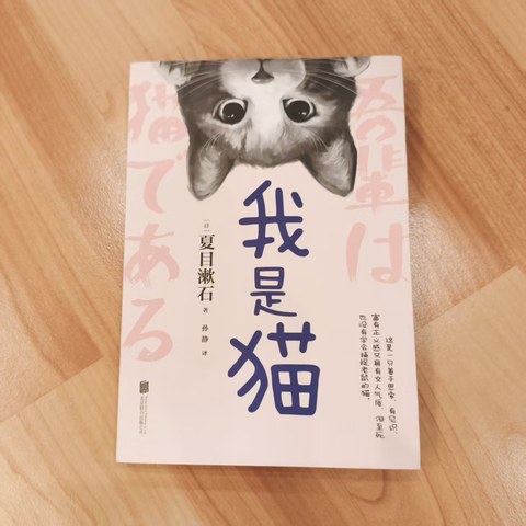 我是猫