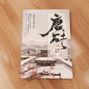 唐砖1：初入大唐