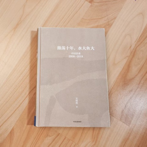 激荡十年, 水大鱼大