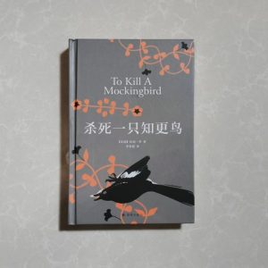 杀死一只知更鸟