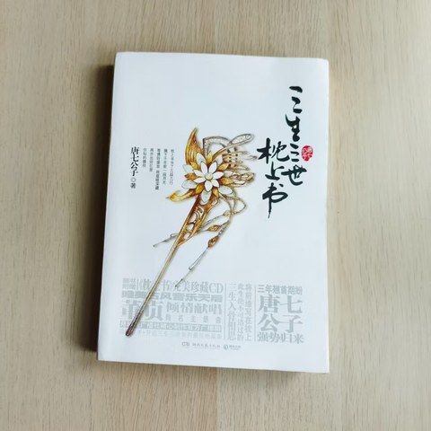 枕上书