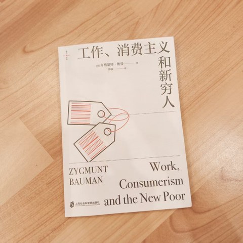 工作、消费主义和新穷人 工作、消费主义和新穷人