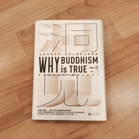 洞见