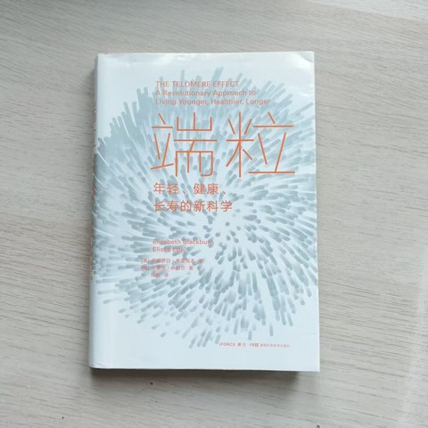 端粒 端粒